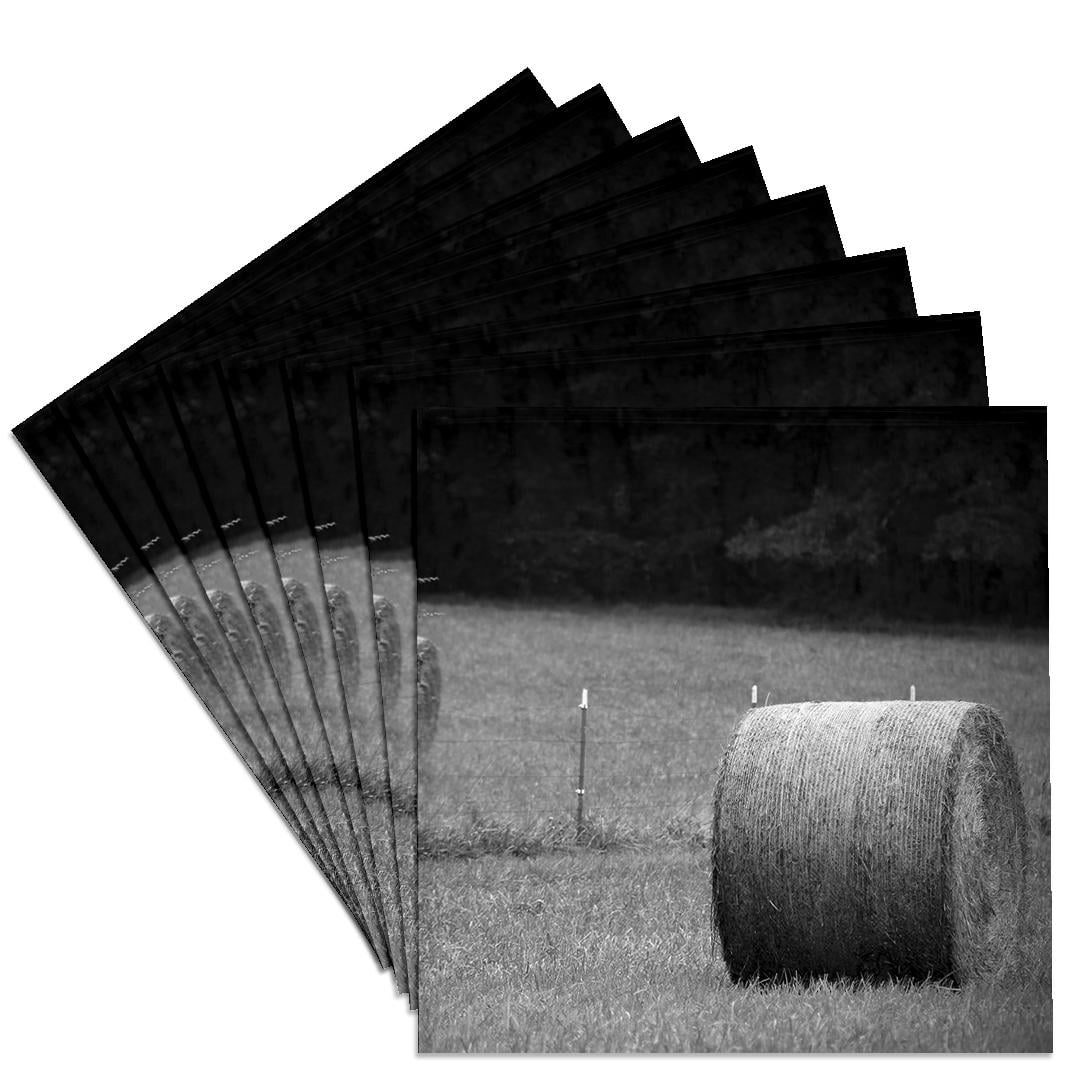 3drose, a Black and White Photograph of a Round Bale of Hay in an Open ...