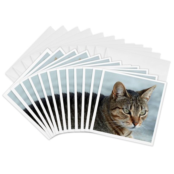 3drose, a Close up Head Photograph of a Stunning Brown Tabby Cat, 12 Greeting Cards with Envelopes