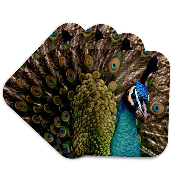 3drose, a Close up of a Beautiful Colorful Peacock Front View, Set of 4 Coasters - Cork