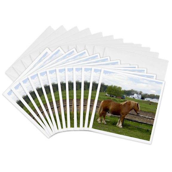 3drose, a Farm Scene with Horses Near Berlin, Ohio - Us36 Dfr0020 - David R. Frazier, 12 Greeting Cards with Envelopes