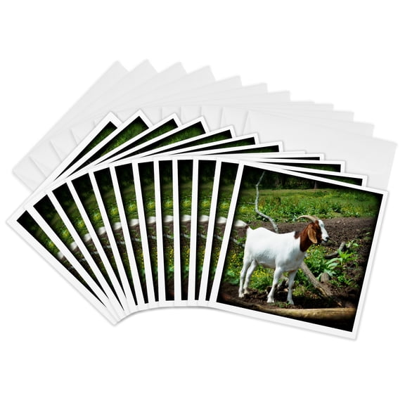 3drose, a Goats Profile Is a Side View of a Goats Head, 12 Greeting Cards with Envelopes