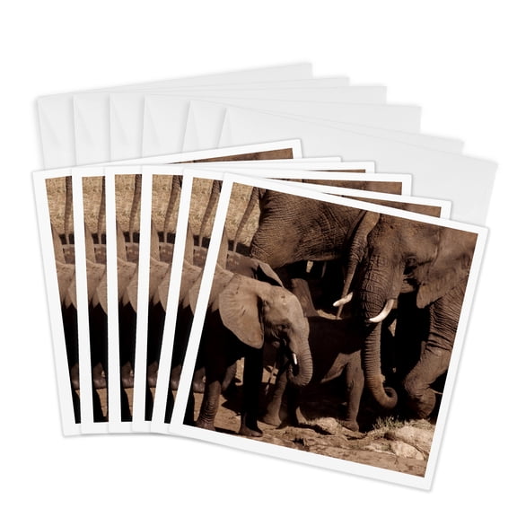3drose, a Gorgeous Elephant Family with Two Little Elephants, 6 Greeting Cards with Envelopes