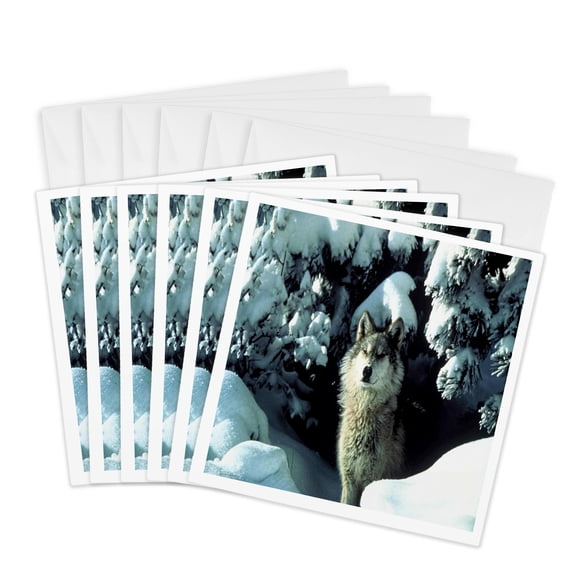 3drose, a Gray Wolf in the Snow, 6 Greeting Cards with Envelopes
