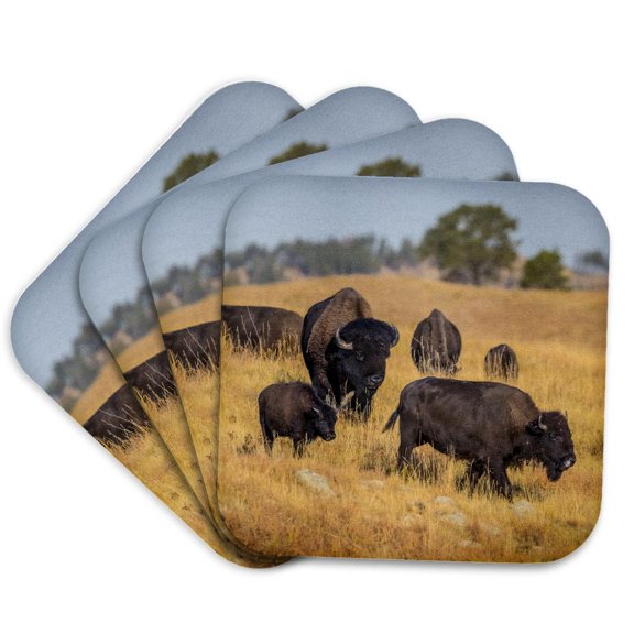 3drose, a Herd of Bison Make Their Way from One Pasture to Another., Set of 4 Coasters - Soft