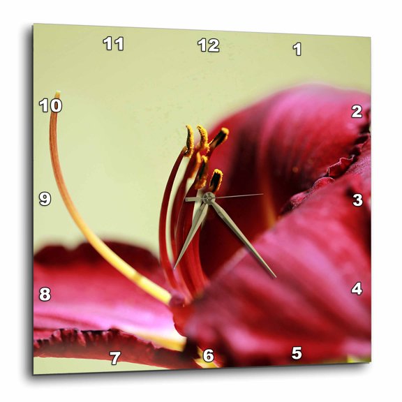 3drose, a Macro Photograph of a Burgundy Red Daylily., 15x15 Wall Clock
