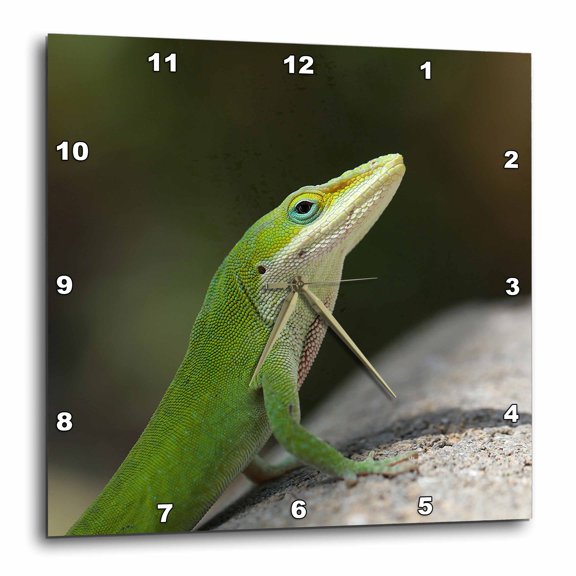 3drose, a Macro Portrait Photograph of a Green Anole Lizard., 13x13 Wall Clock