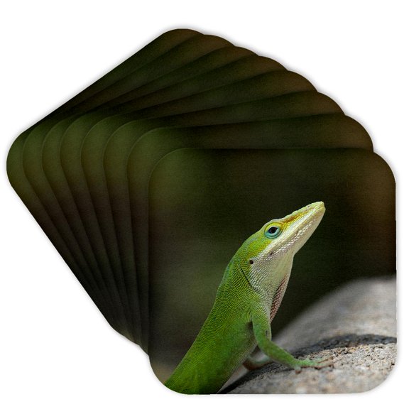 3drose, a Macro Portrait Photograph of a Green Anole Lizard., Set of 8 Coasters - Cork
