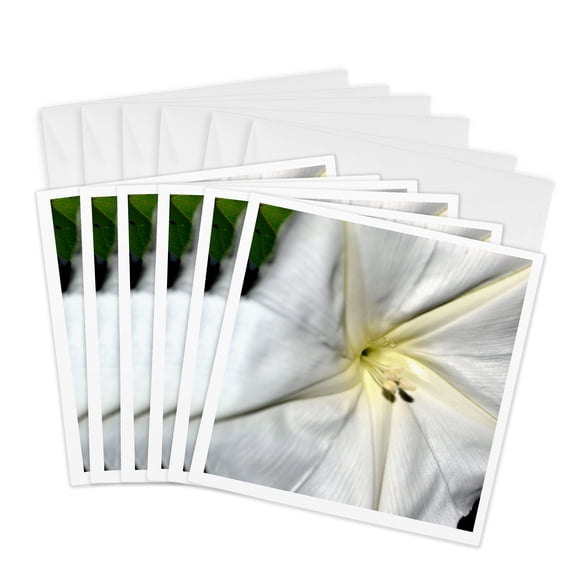 3drose, a New Moonflower Bloom, 6 Greeting Cards with Envelopes