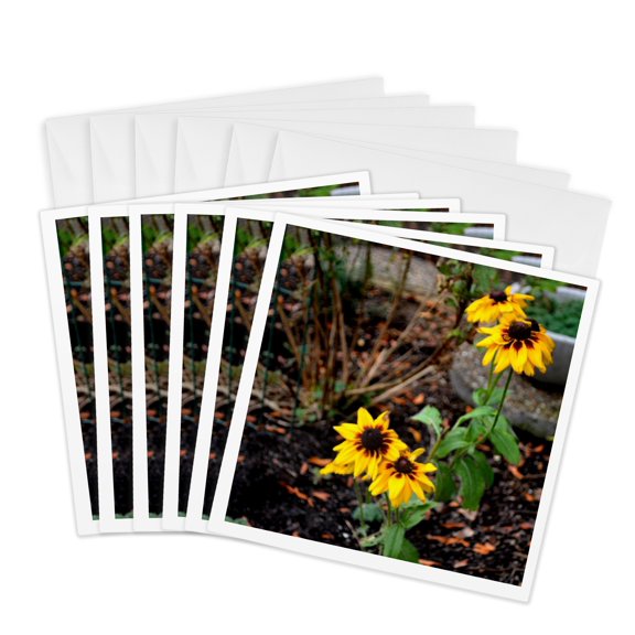 3drose, a Patch of Black Eye Susan Flowers in Rich Autumn Colors, 6 Greeting Cards with Envelopes