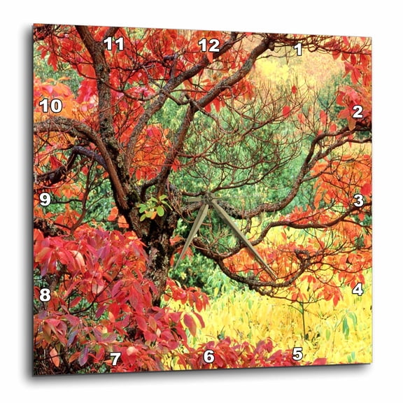 3drose, a Portland Oregon Fall Rich with Color, 15x15 Wall Clock