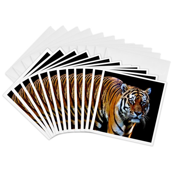3drose, a Tiger on Black Background Contrast Animal Tigers, 12 Greeting Cards with Envelopes