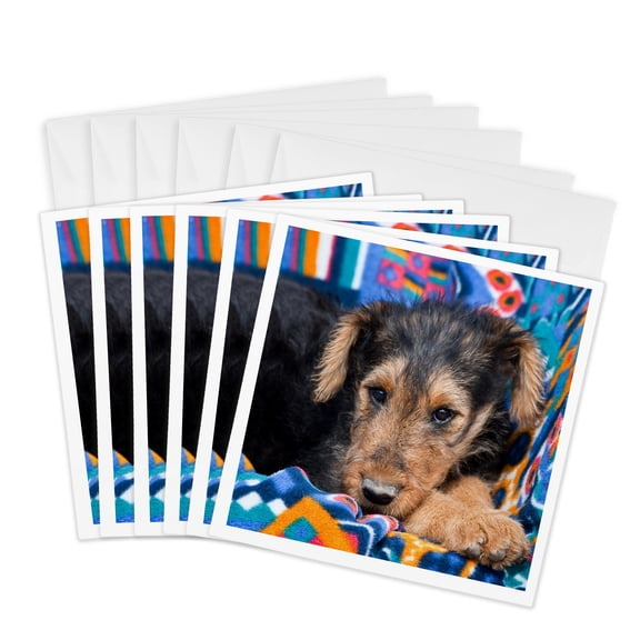3drose, an Airedale Puppy Dog Lying down - Us32 Zmu0005 - Zandria Muench Beraldo, 6 Greeting Cards with Envelopes
