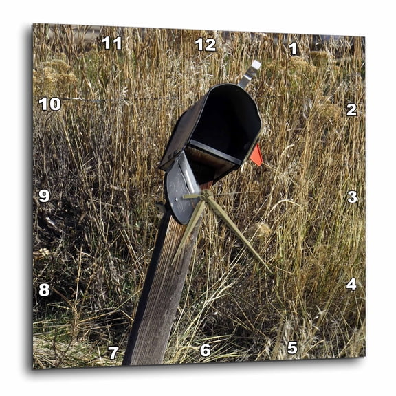 3drose, an Old Mailbox in Some Weeds, 10x10 Wall Clock