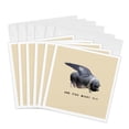 3drose, and Pigs Might Fly Funny Animal Photo Vector, 6 Greeting Cards ...