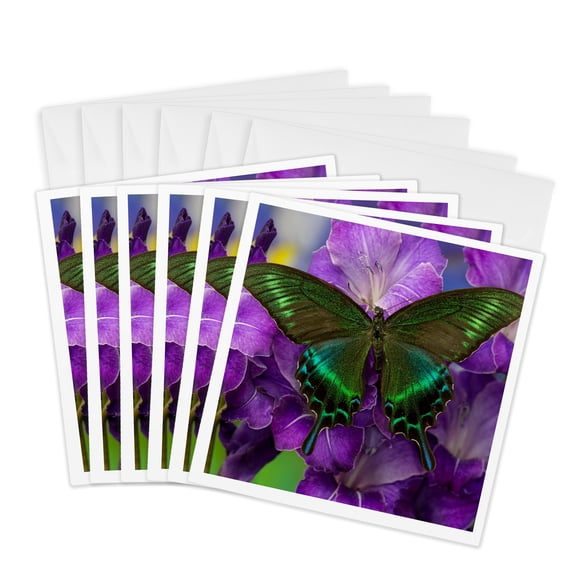 3drose, the Common Peacock Swallowtail Butterfly, 6 Greeting Cards with Envelopes