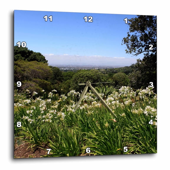 3drose, the Kirstenbosch Botanical Gardens in Cape Town, South Africa., 13x13 Wall Clock