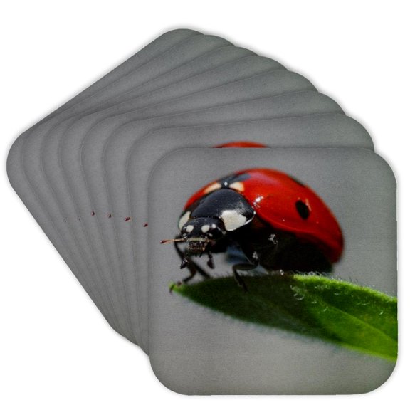 3drose, the Ladybug - Ladybug, Macro, Beetle, Bug, Insect, Lady Cow, Lady Fly, Set of 8 Coasters - Soft