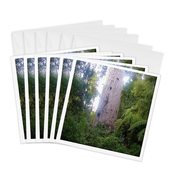 3drose, the Oldest Kauri Tree in New Zealand Tane Mahut2000 Years Ago Approximately During Life of Christ, 6 Greeting Cards with Envelopes