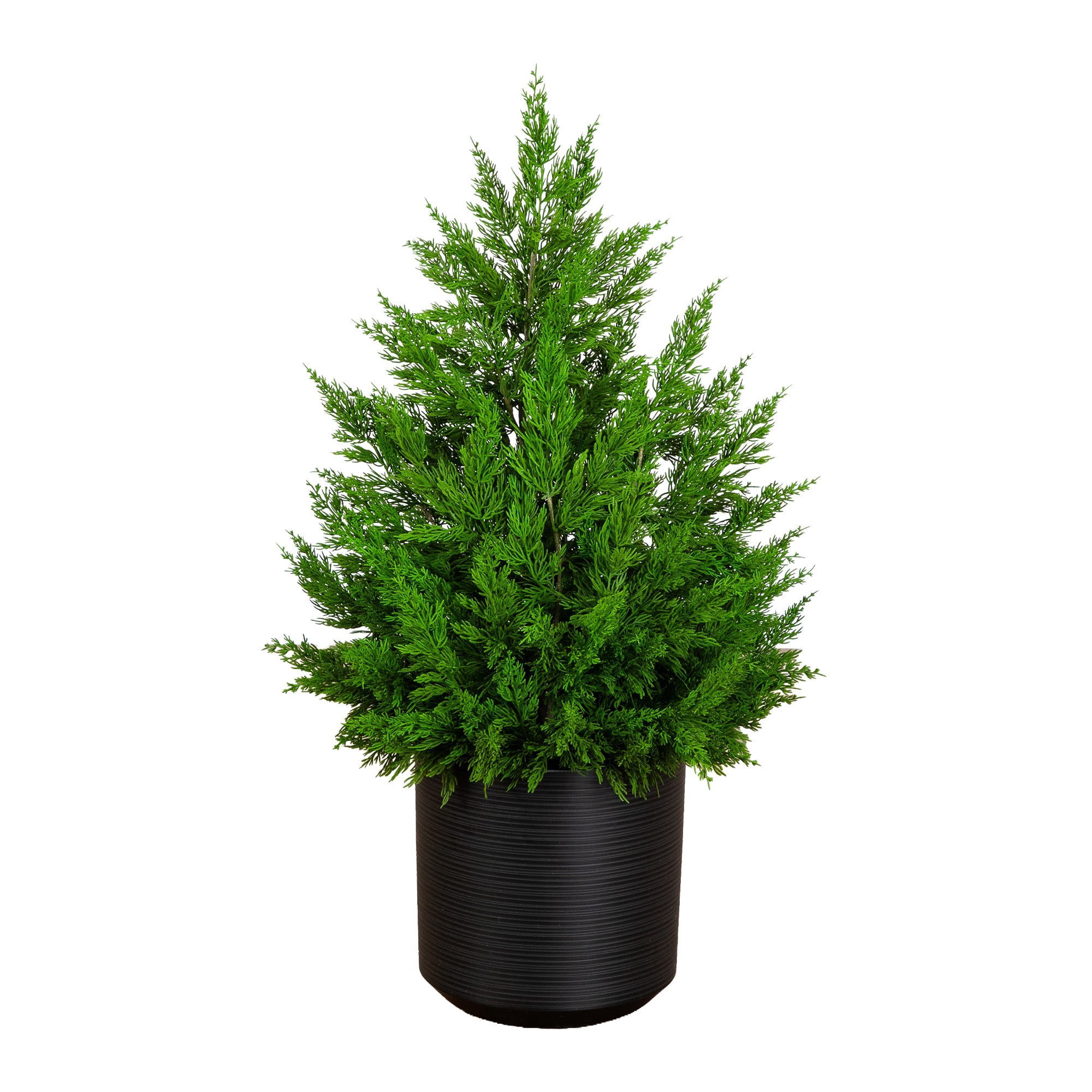 3ft. Artificial Real Touch Winter Cypress Bush in Black Decorative Planter