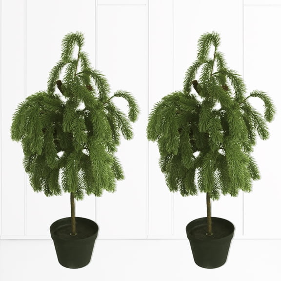 3ft artificial Norfolk pine tree,drooping pine and pine balls achieves a realistic effect. indoor and outdoor decoration, window sills, display Windows, porches and other places（set of 2）