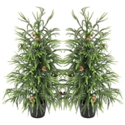 Nafresh 3ft Real Touch Norfolk Pine Tree, 36 UV Resistant Norfolk Pine Tree, with Realistic Pinecones & Full Branches for Front Porch Bedroom Livingroom Tabletop Holiday Decor, 2Pack