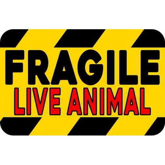 3in x 2in Red Fragile Live Animal Magnet