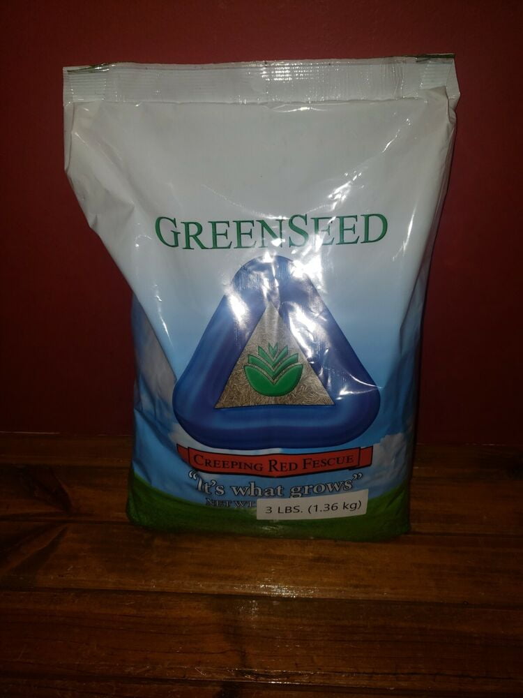 3lbs CREEPING RED FESCUE Grass Seed For Shady Lawns Fine Blade