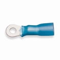 thumbnail image 1 of 3m Ring Term,Heat Shrink,1/4 in,1.1 in,PK25 MH14-14R/SX, 1 of 1