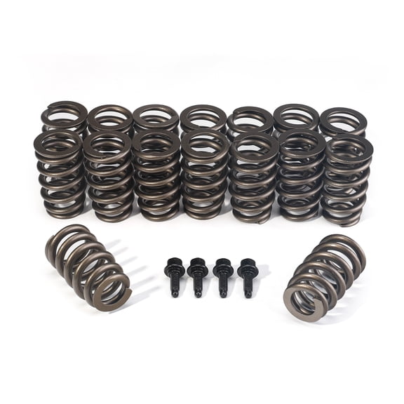 3mirrors LS Valve Springs, Performance Racing Compatible with ALL LS Engine 4.8 5.3 5.7 6.0 6.2 (.625'' Lift Rated) Fits select: 2006-2009 CHEVROLET TRAILBLAZER, 2010-2015 CHEVROLET CAMARO
