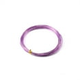 thumbnail image 1 of 3mm Anodized Aluminum Wire - Rust-Resistant, Flexible Craft Wire for Jewelry, Floral & Bonsai DIY Projects (2m Length), 1 of 1