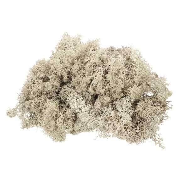 Uxcell 3oz Preserved Reindeer Moss Brown Decorative Artificial Fake Moss