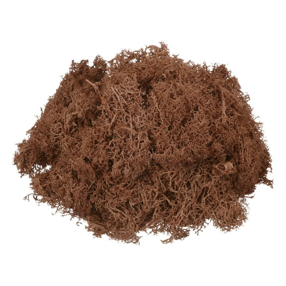 Uxcell 3oz Preserved Reindeer Moss Coffee Decorative Artificial Fake Moss
