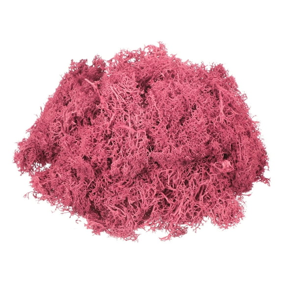 Uxcell 3oz Preserved Reindeer Moss Dark Pink Decorative Artificial Fake Moss