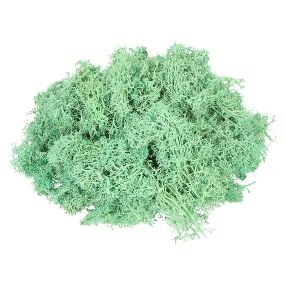 Uxcell 3oz Preserved Reindeer Moss Green Decorative Artificial Fake Moss