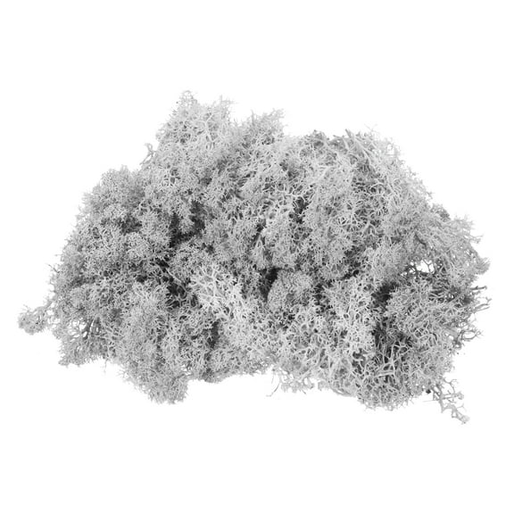 Uxcell 3oz Preserved Reindeer Moss Light Grey Decorative Artificial Fake Moss