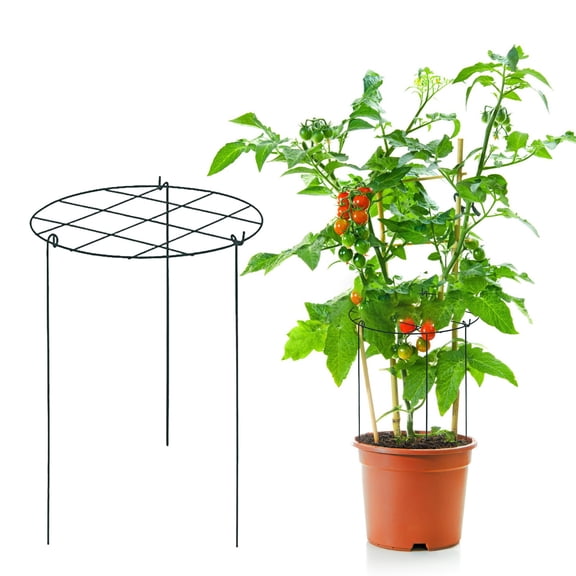 3pack Peony Cages and Supports, 14 x 18 Inch Three Legs Peony Cage, Heavy-Duty Peonies Support Cages, Peony Ring for Roses, Hydrangeas, Sage, Peonies, Cucumbers, Tomato