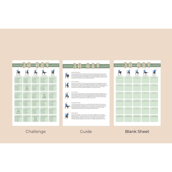 3pc 30 Day Advanced Chair Exercise Challenge Poster Advanced Chair Exercise Poster Sitting Exercise Poster Suitable For Elderly And Beginners Advanced Full Body Exercise Poster