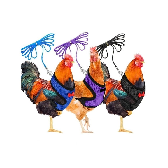 3pc Adjustable Poultry Harness with Leash Suitable for Chickens Ducks Geese Comfortable Breathable Mesh Chicken Vest M Random Colors