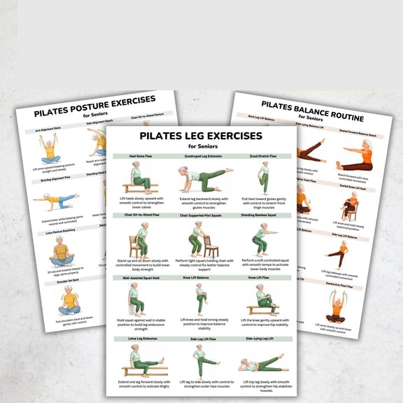 3pc Pilates Exercise Kit Suitable For The Elderly, Poster For Balanced Leg Posture Exercises, Low Impact Elderly Routine Poster, Home Exercise Chart Poster poster