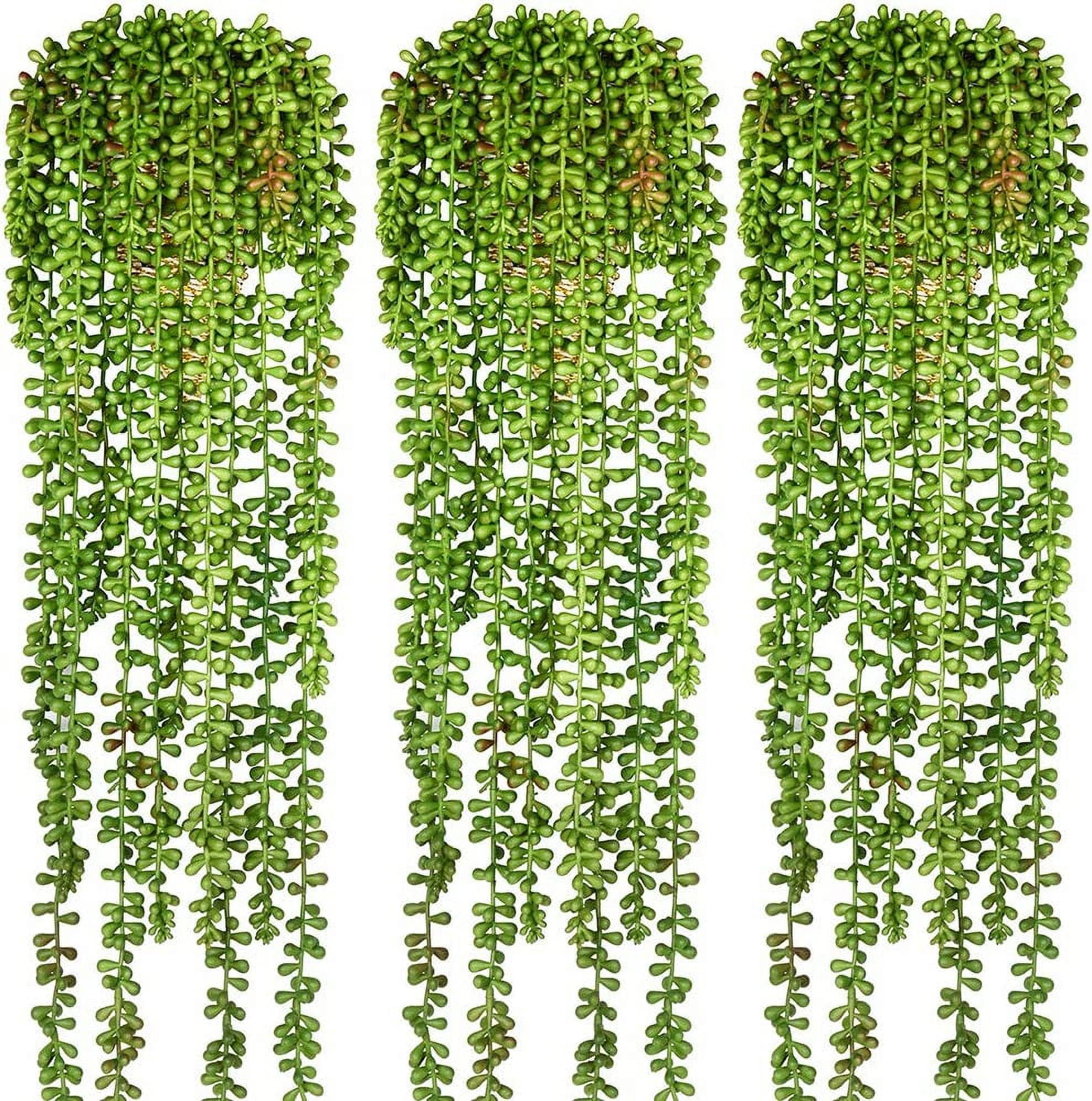 3pcs Artificial Fake String of Pearls Plant Faux Succulents Hanging Plants for Wall Home Garden Decor