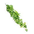 thumbnail image 1 of 3pcs Decorative Hanging Wall Plant Simulation Spotted Leaf Indoor Wall Ornament, 1 of 8