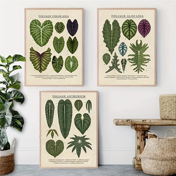 3pcs, Foliage Plant Canvas Painting, Anthurium Colocasia Alocasia Plants Poster Wall Art, for Living Room Decoration, home DecorUnFrameless