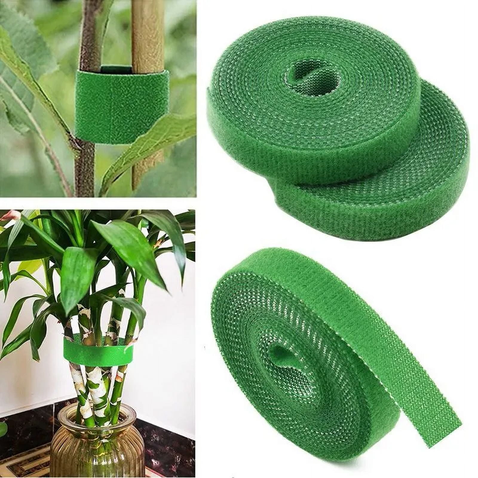 3pcs Green Plant Binding Tape, Plant Velcro Binding Tape, Used to Fix The  Shape of The Velcro, 1x200cm