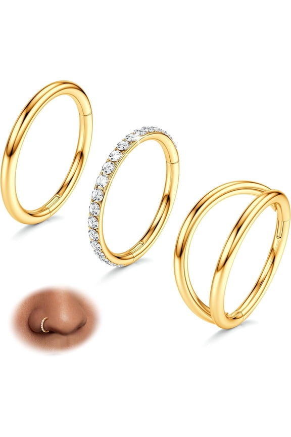 3pcs Nose Rings Hoops - 316L Surgical Steel Double Hoop Nose Rings 14G/16G/18G/20G Hinged CZ Piercing Jewelry Septum Clicker Rings Cartilage Earring Helix Rook Tragus Daith 7mm/8mm/9mm/10mm
