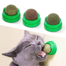 Non catnip cat toys discount