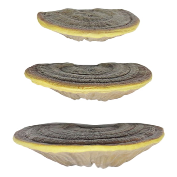 OFFIGAM Resin Shaped Floating Wall Shelf Home Decor Modern Indoor Use 3pcs