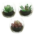 thumbnail image 1 of 3pcs artificial succulent glass potted plants creative small ornaments simulation plant bonsai - type:style2;, 1 of 5