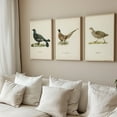 thumbnail image 1 of 3pcs/set Vintage Country Hunting Canvas Wall Art Set, Hunting Birds Poster Realistic Painting, Pheasant Partridge Grouse Decorative Prints, Bird Animal Prints for Home Office, Living Room, Bedroom D, 1 of 4