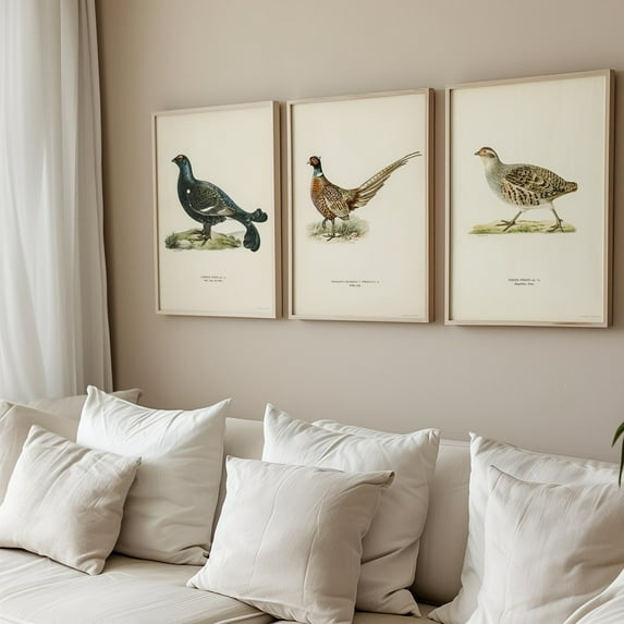 3pcs/set Vintage Country Hunting Canvas Wall Art Set, Hunting Birds Poster Realistic Painting, Pheasant Partridge Grouse Decorative Prints, Bird Animal Prints for Home Office, Living Room, Bedroom D