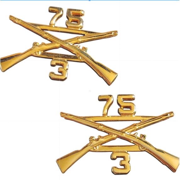 3rd Battalion 75th Ranger Regiment Infantry Crossed Rifles Novelty ...